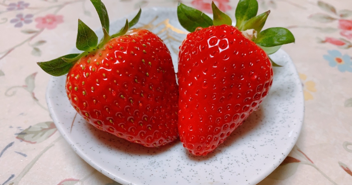 ichigo-1200x630.jpg