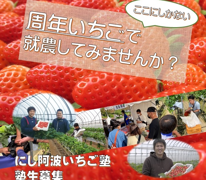 にし阿波いちご塾」塾生募集中！】 | 新着情報 | 住んでみんで徳島で！